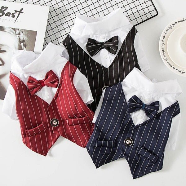 Roupa Estilo Terno Elegante Para Pet - Barkify™
