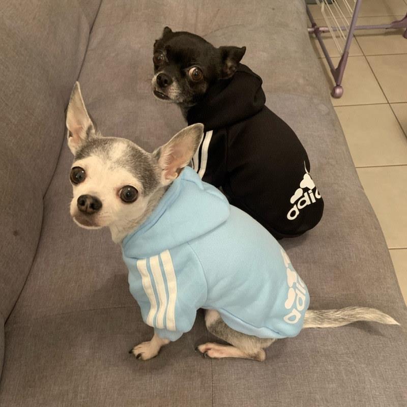 Roupa Para Cachorro Moletom Confortável para Pet - Adidog™
